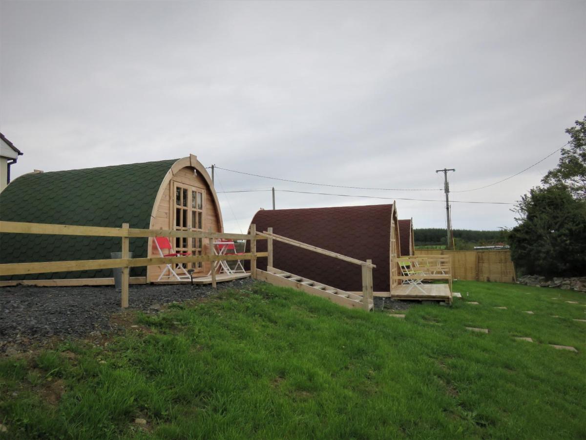 Shannon Estuary Glamping Effernan Exteriör bild