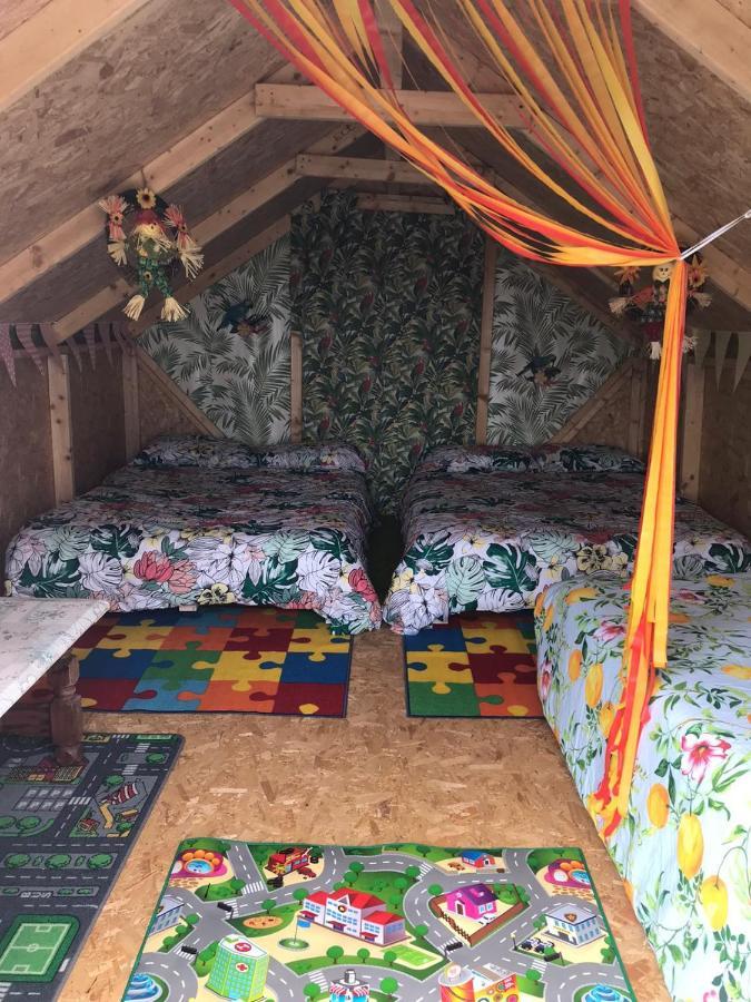 Shannon Estuary Glamping Effernan Exteriör bild