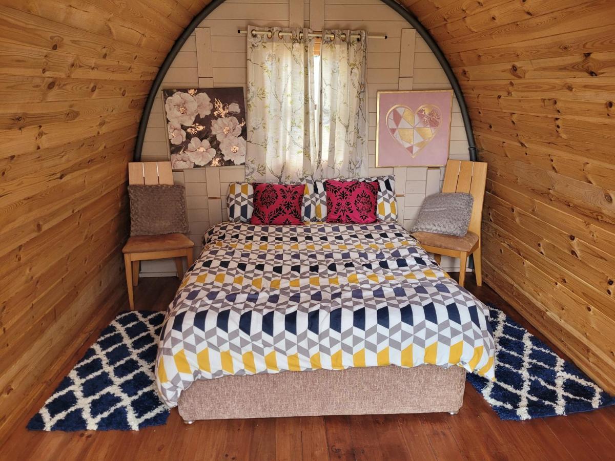 Shannon Estuary Glamping Effernan Exteriör bild