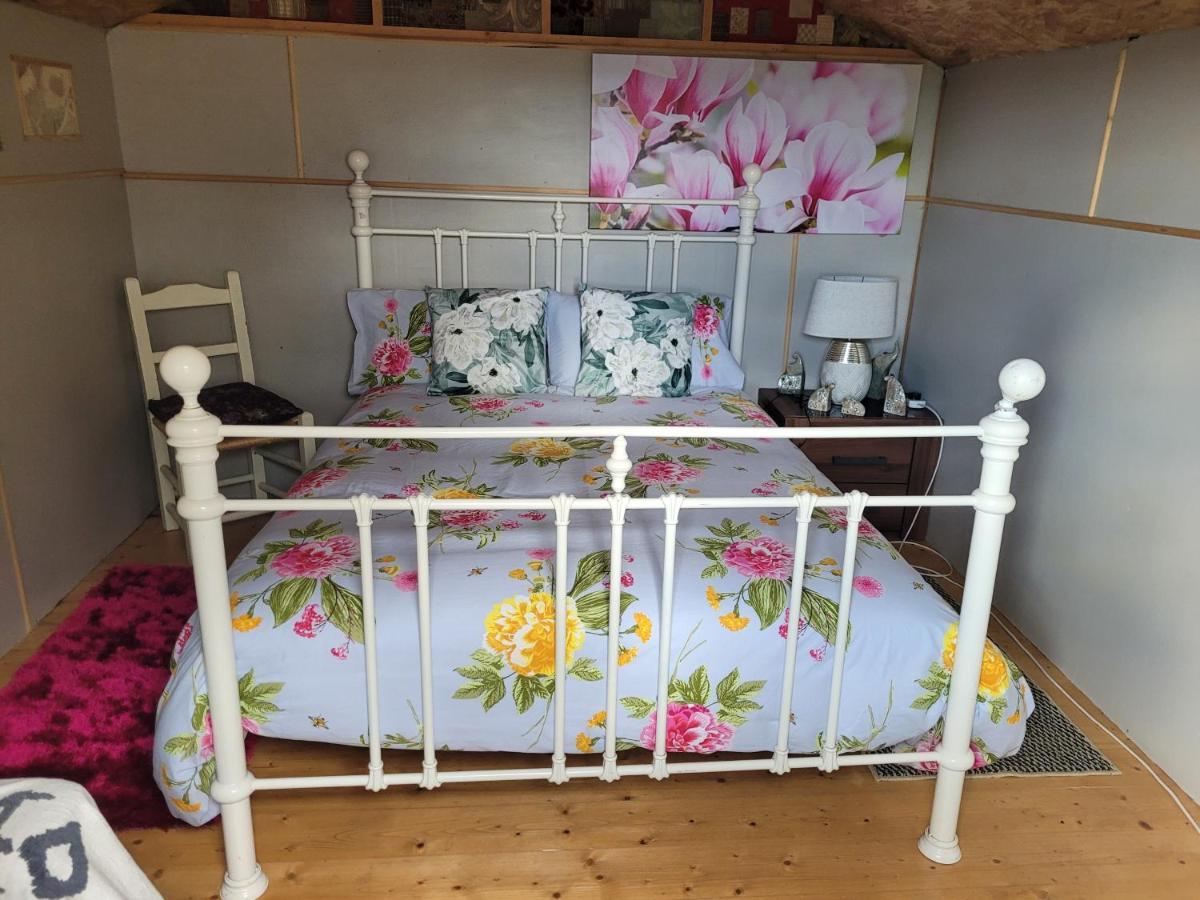 Shannon Estuary Glamping Effernan Exteriör bild