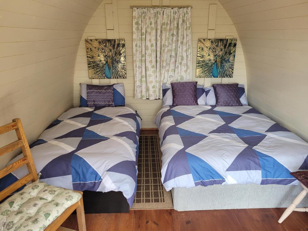 Shannon Estuary Glamping Effernan Exteriör bild