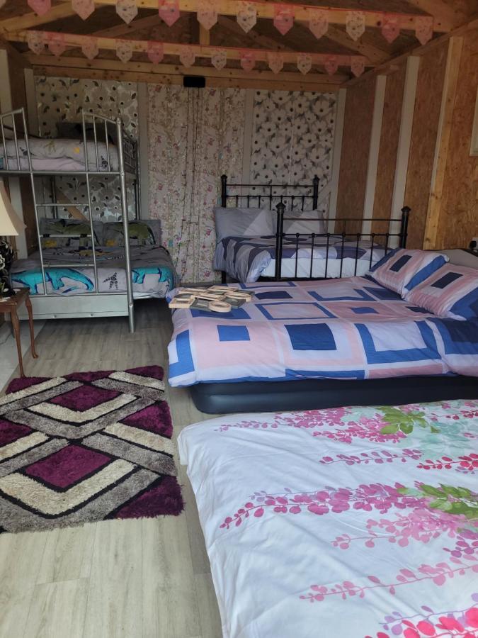 Shannon Estuary Glamping Effernan Exteriör bild