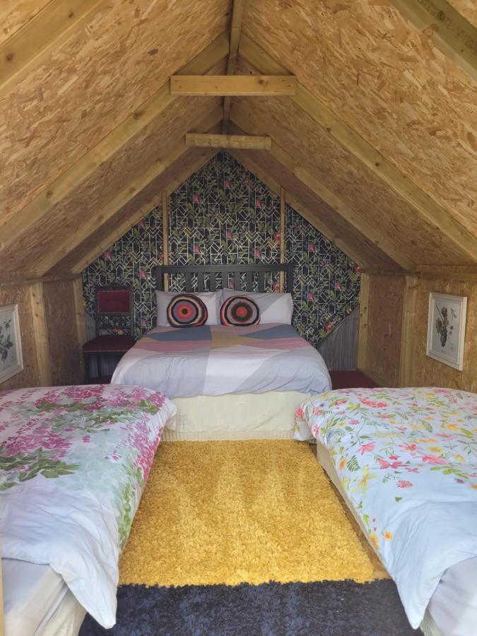 Shannon Estuary Glamping Effernan Exteriör bild