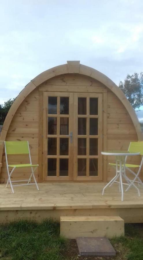 Shannon Estuary Glamping Effernan Exteriör bild