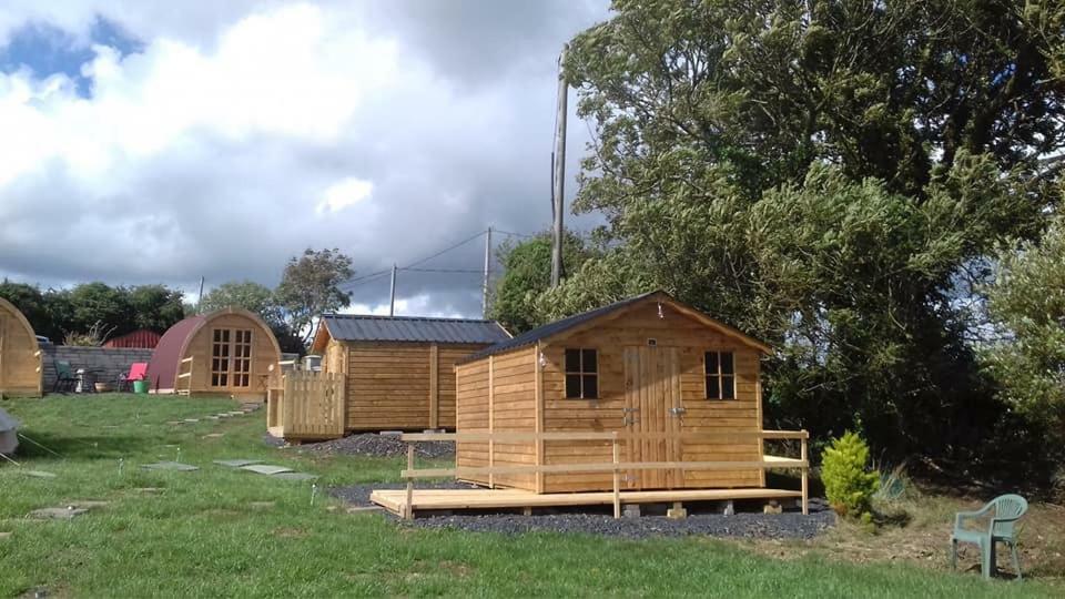 Shannon Estuary Glamping Effernan Exteriör bild