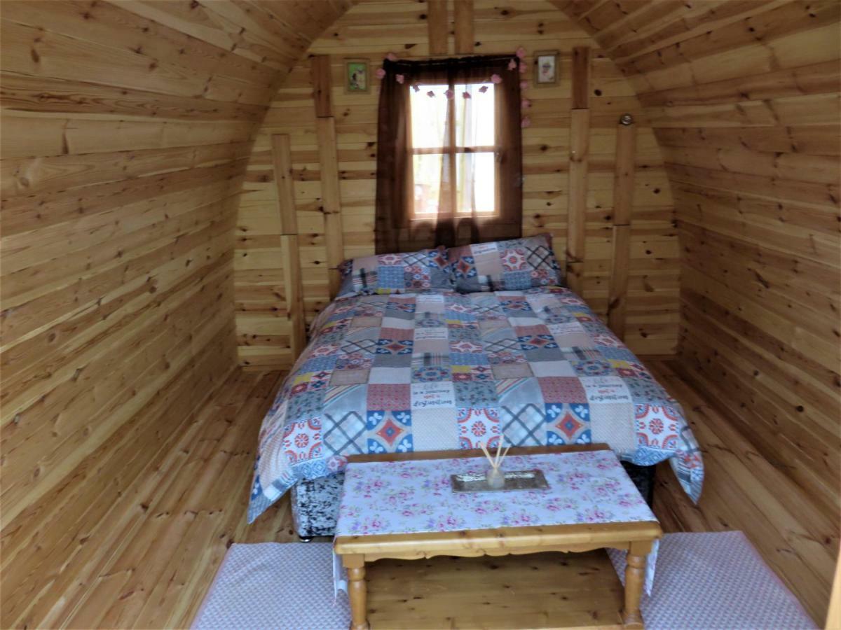 Shannon Estuary Glamping Effernan Exteriör bild