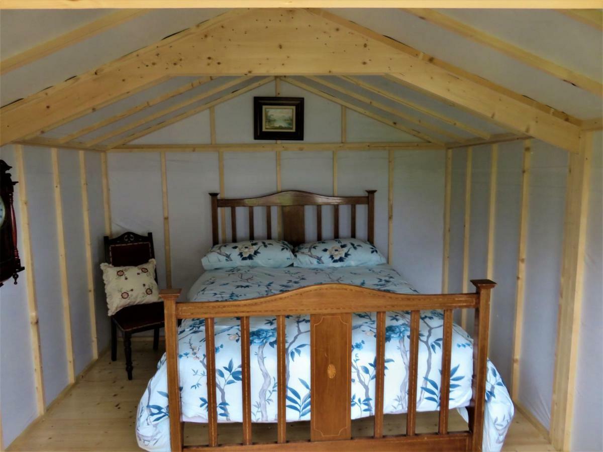 Shannon Estuary Glamping Effernan Exteriör bild