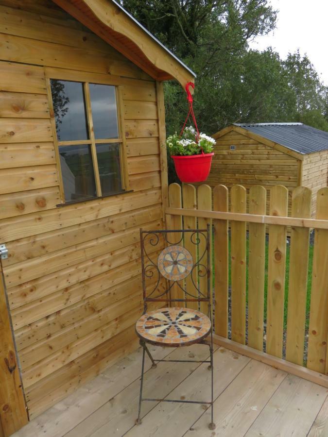 Shannon Estuary Glamping Effernan Exteriör bild