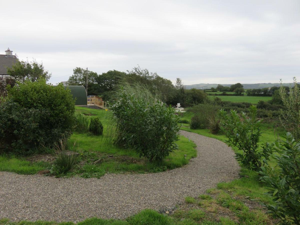 Shannon Estuary Glamping Effernan Exteriör bild