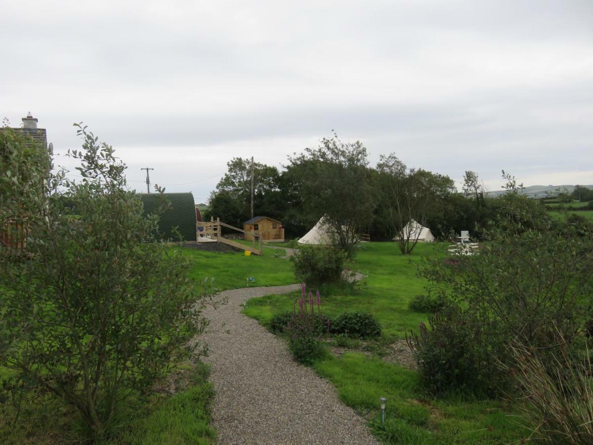 Shannon Estuary Glamping Effernan Exteriör bild
