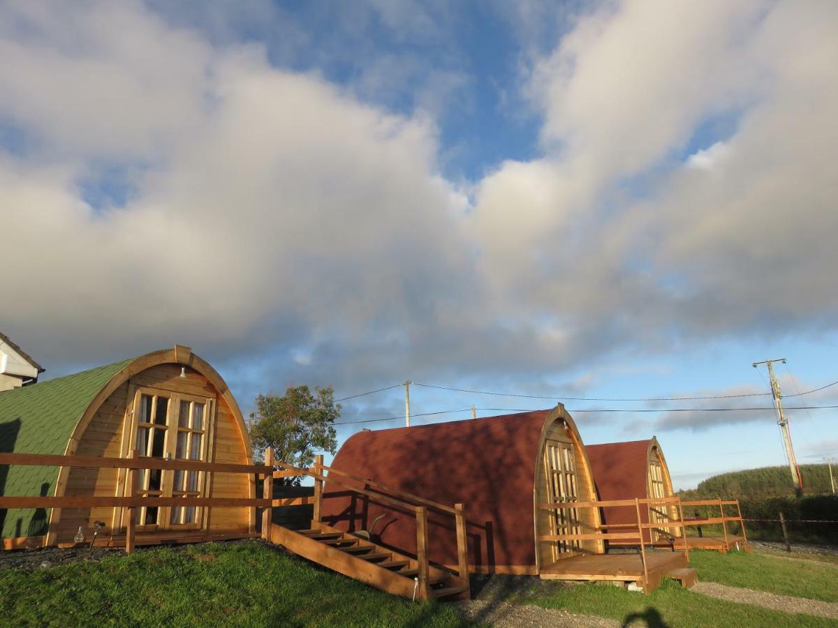 Shannon Estuary Glamping Effernan Exteriör bild