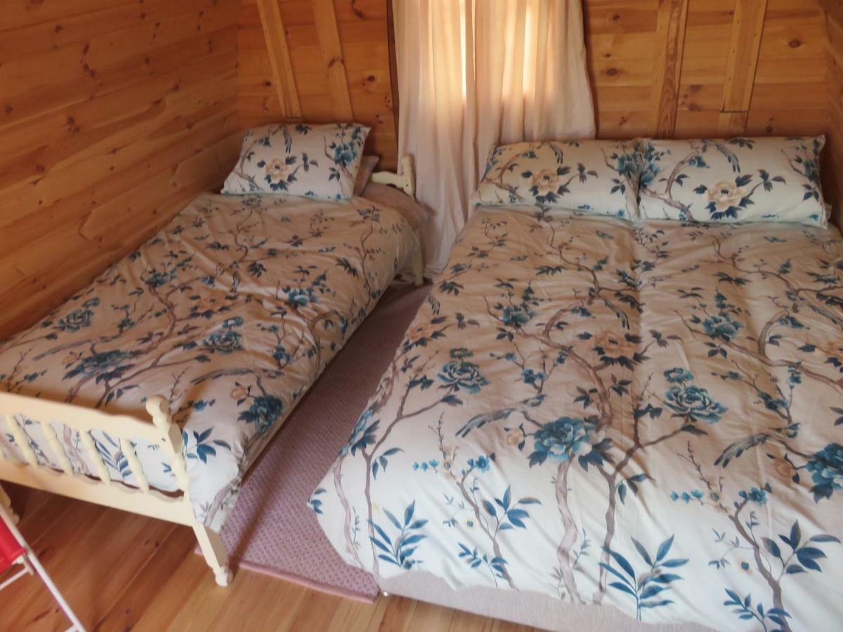 Shannon Estuary Glamping Effernan Exteriör bild