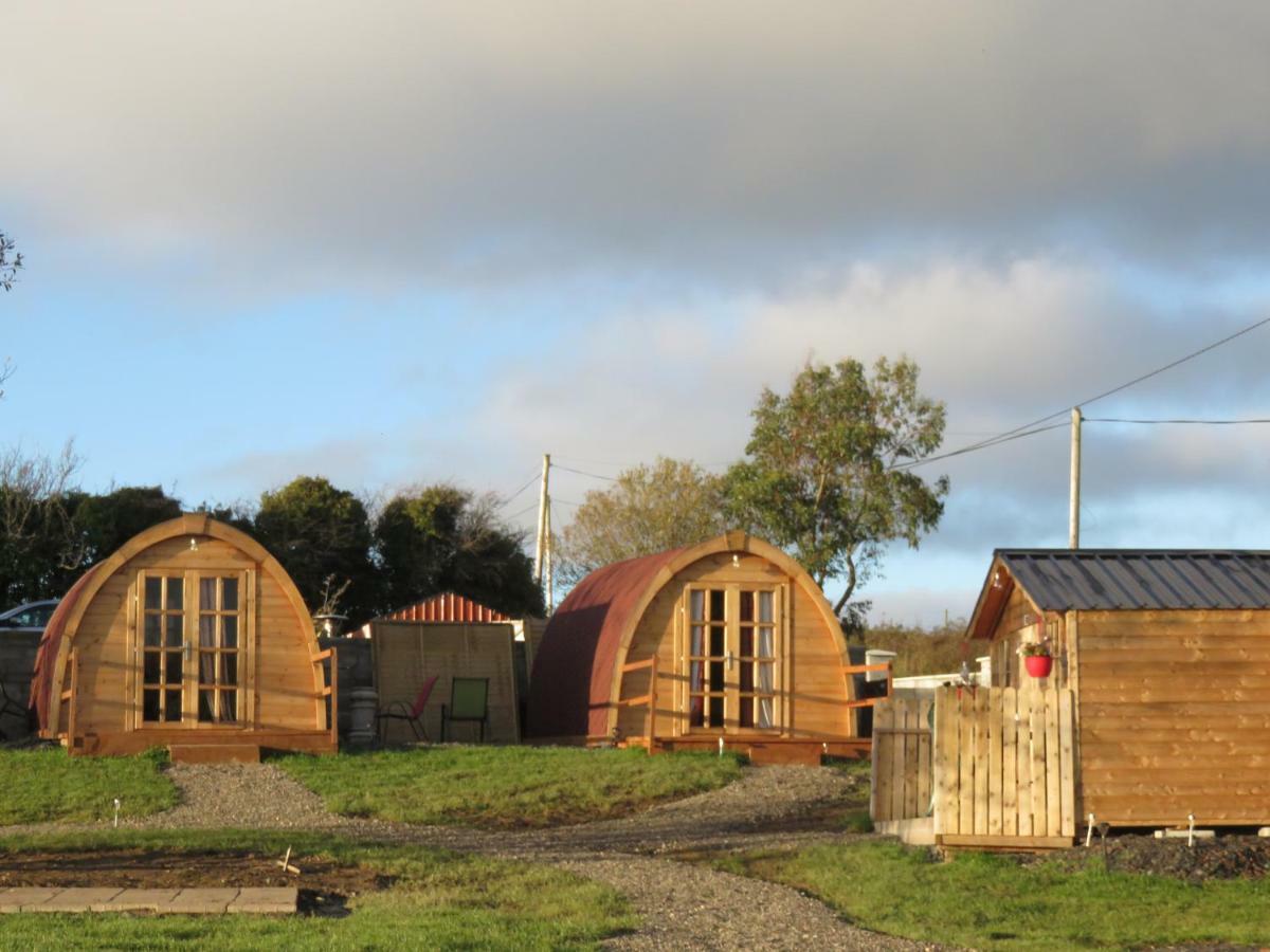 Shannon Estuary Glamping Effernan Exteriör bild