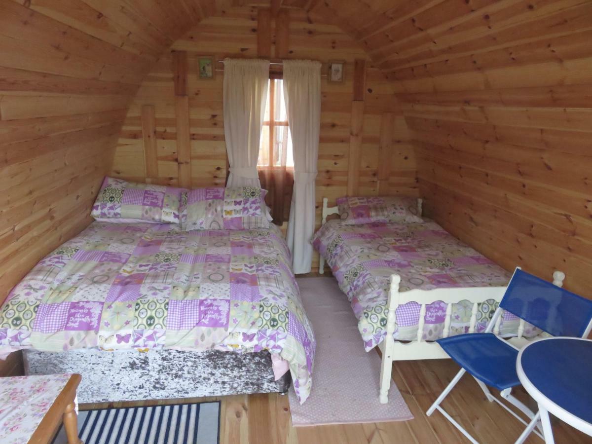 Shannon Estuary Glamping Effernan Exteriör bild