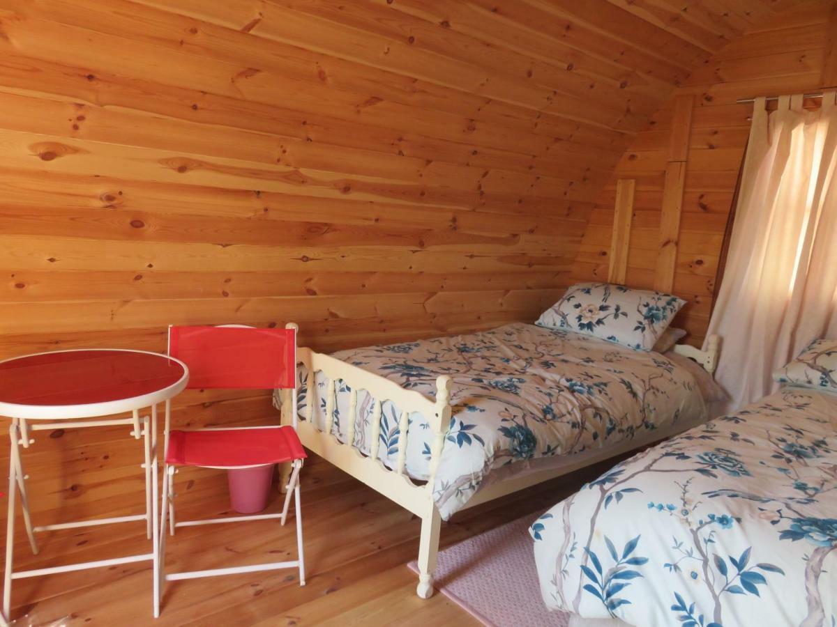 Shannon Estuary Glamping Effernan Exteriör bild