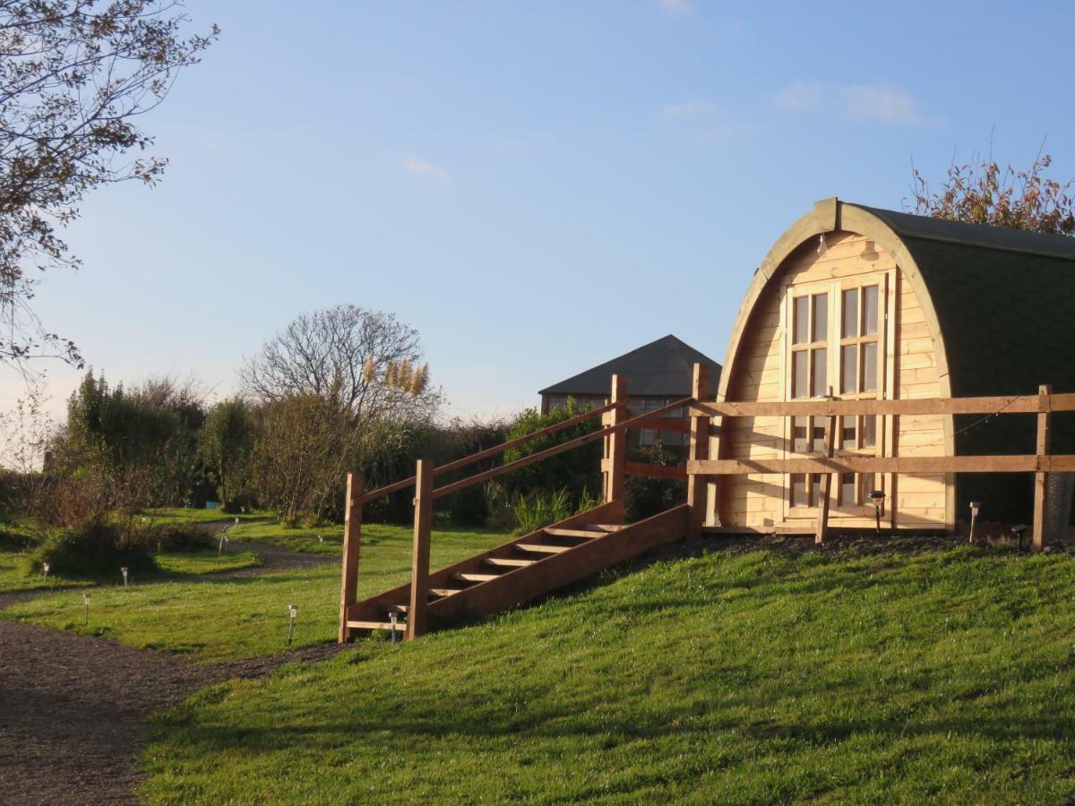 Shannon Estuary Glamping Effernan Exteriör bild