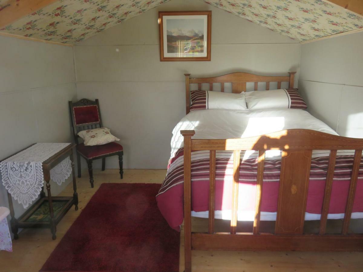 Shannon Estuary Glamping Effernan Exteriör bild